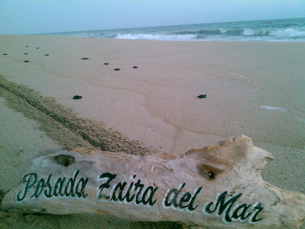 Posada Zaira Del Mar Coyuca Zewnętrze zdjęcie